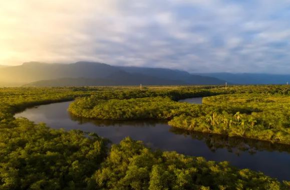5 de setembro é celebrado o Dia da Amazônia