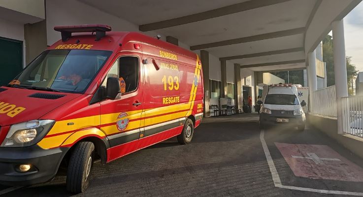 Trabalhadores são atacados por abelhas na zona rural de Albertos