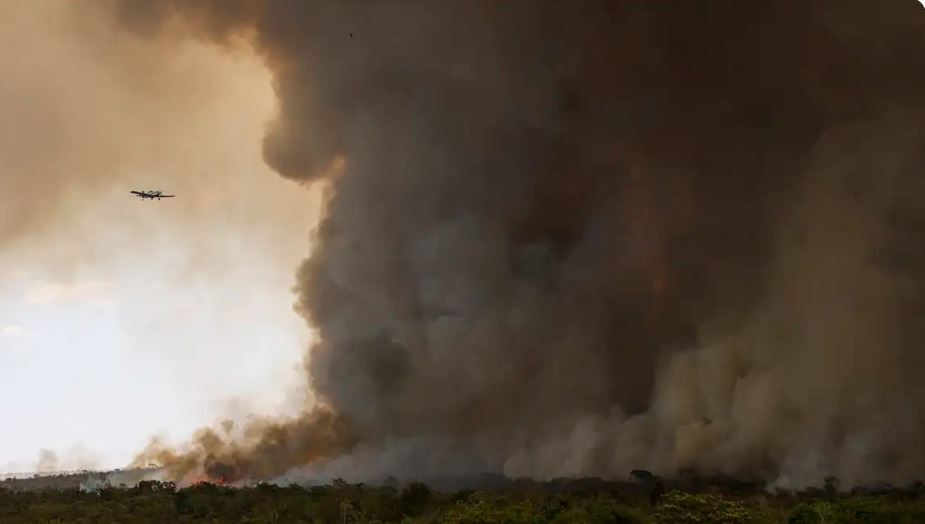 Fogo avança e queima 700 hectares do Parque Nacional de Brasília
