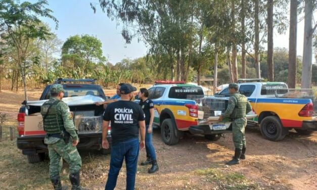 Polícia Civil resgata 86 animais em situação de maus-tratos em Campo Belo