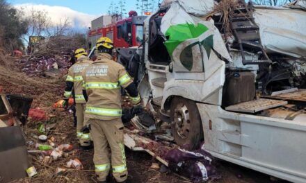 Carreta com carga de cebola tomba e motorista morre na BR-251