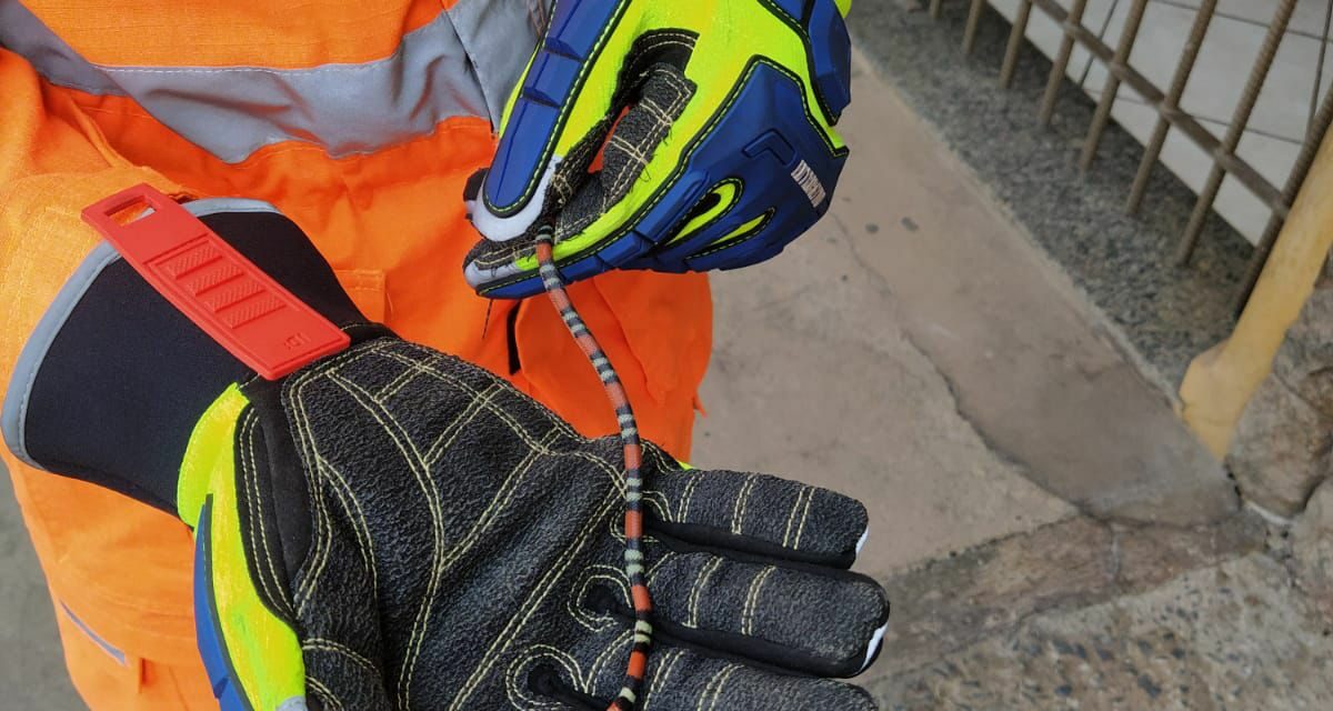 Cobra coral é flagrada em porta de loja no Centro de Formiga