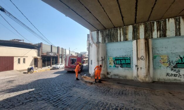 Risco de queda faz com que bombeiros espalhem serragem em passeio no Centro de Formiga