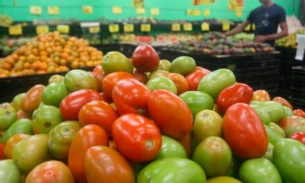 Além da fumaça: estiagem e queimadas devem encarecer alimentos em Minas