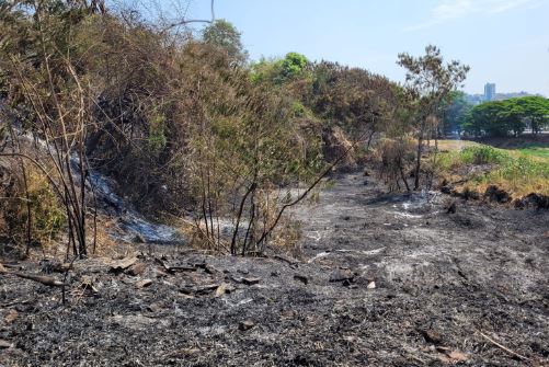Incêndios são registrados em vários locais de Formiga