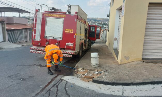 Gambá preso em canalização pluvial é capturado pelos bombeiros em Formiga