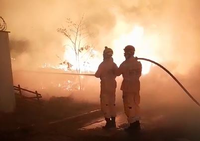 Vídeo: Incêndio em lote vago coloca em risco residências e causa preocupação em Arcos