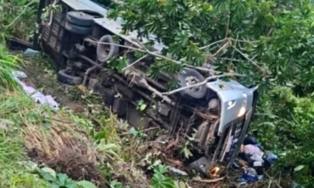Quatro pessoas morrem e 10 ficam feridas após ônibus cair em ribanceira