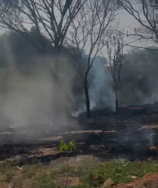 Horto Florestal em Formiga é alvo de incêndio criminoso