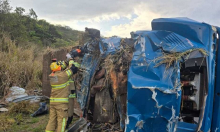 Motorista de 30 anos morre preso às ferragens após caminhão capotar em rodovia de Minas