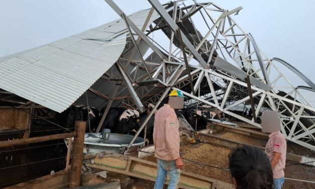 Formiga: chuva e vendaval destroem edificações e causam sérios prejuízos na Fazenda Ponte Alta