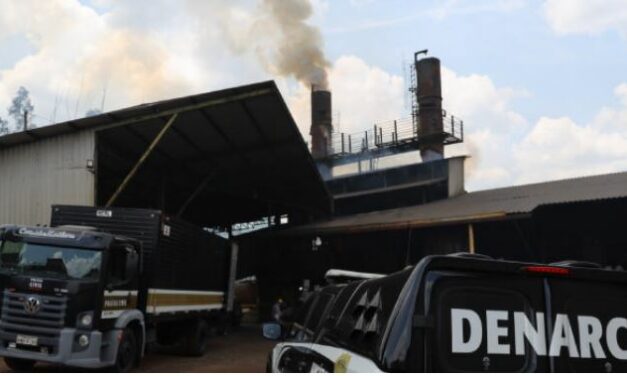 Polícia Civil incinera duas toneladas de drogas apreendidas em Belo Horizonte.