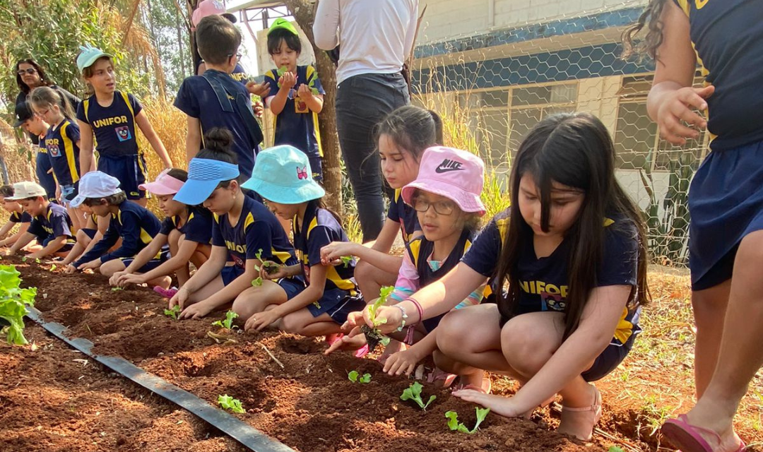 Alunos do Colégio Unifor vivenciam a natureza na Fazenda Laboratório