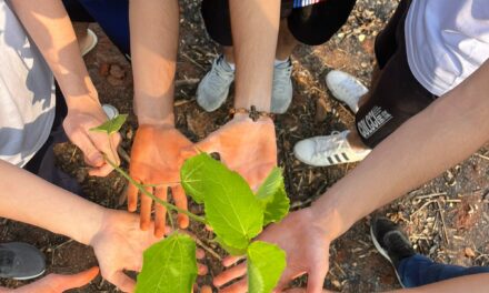 Formiga: alunos do Colégio Losango participam de tarefa sobre educação ambiental