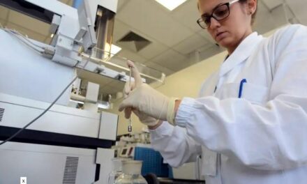 Temos que evitar que Candida auris atinja proporções perigosas à população’, diz infectologista