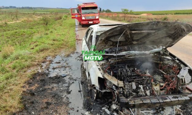 Veículo que seguia para Iguatama pega fogo na BR-354