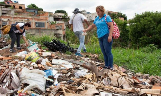 Estado promete investir R$ 178 milhões para ações de combate à dengue nos municípios mineiros
