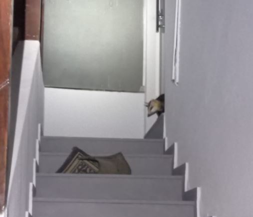 Gambá dificulta entrada de morador em residência no Areias Brancas, em Formiga