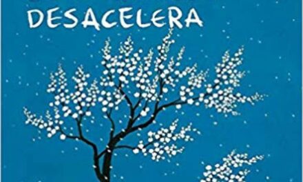 “As Coisas que Você só vê Quando Desacelera” é a dica de leitura da semana
