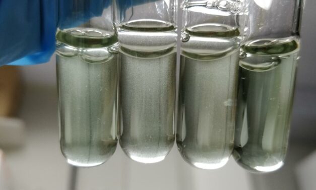 Superfungo: teste criado pela UFMG poderá ser usado para diagnosticar pacientes no HPS de BH
