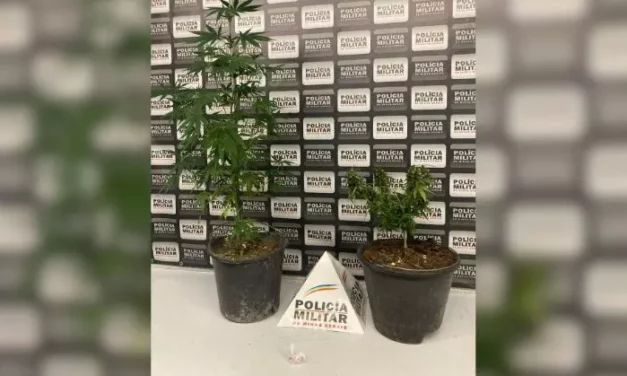 Divinópolis: Adolescente é apreendido por ato infracional ao tráfico de drogas