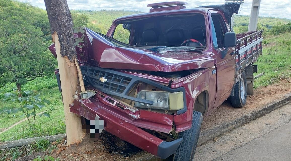 Samu é acionado após veículo colidir contra árvore em Bom Despacho