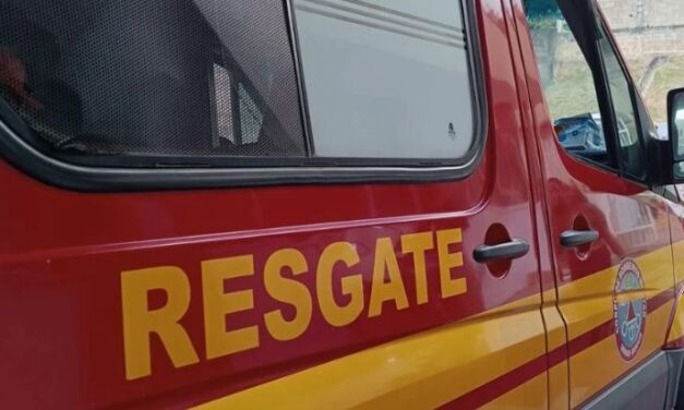Fogo em pet shop é controlado pelos bombeiros em Oliveira; suspeito de causar incêndio é preso