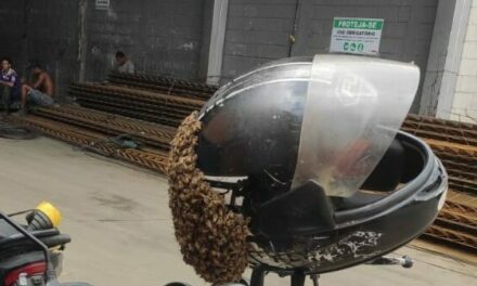 Enxame de abelha é encontrado em capacete no bairro Souza e Silva, em Formiga