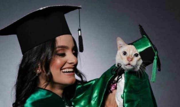 Estudante leva gata para fotos de formatura e viraliza na web
