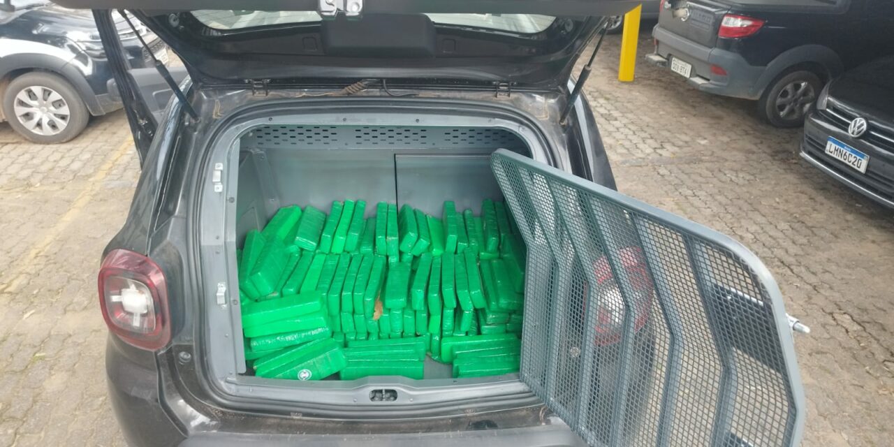 PCMG incinera 1 tonelada de maconha apreendida em Divinópolis