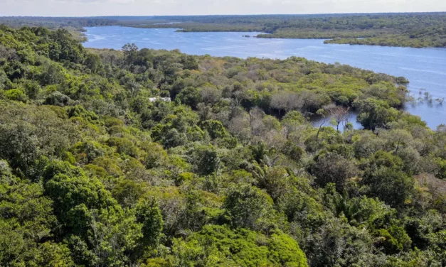 Indígenas defendem demarcação para reduzir danos climáticos