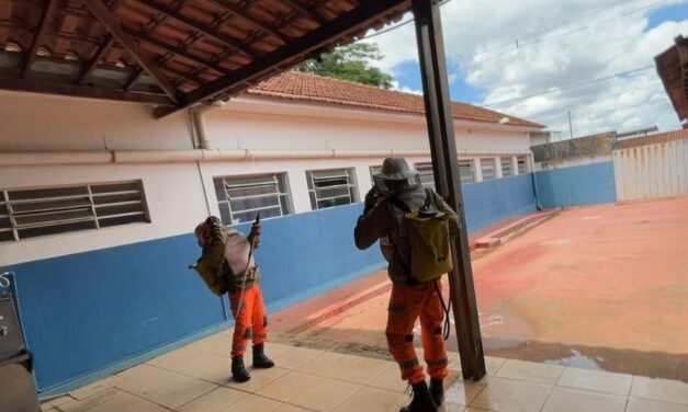Bombeiros são acionados para combater enxame de marimbondos em escola de Pontevila