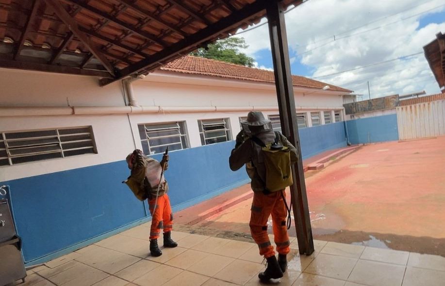 Bombeiros são acionados para combater enxame de marimbondos em escola de Pontevila