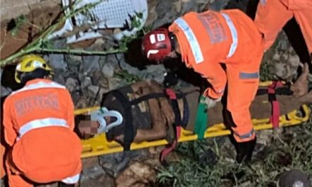 Morador em situação de rua cai de uma altura de dez metros em córrego e é resgatado em MG