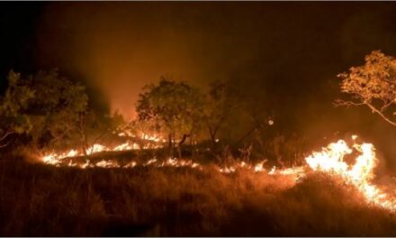 Brasil reduz em 12% emissões de gases do efeito estufa em 2023