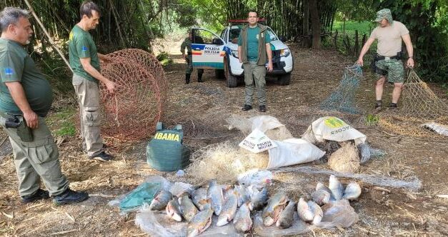 Operação Piracema no rio São Francisco resulta em apreensões e fiscalização ambiental