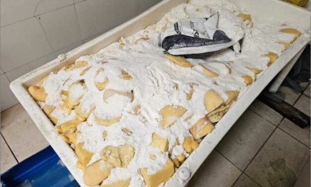 Polícia desarticula esquema suspeito de venda de queijo vencido em Minas