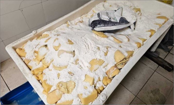 Polícia desarticula esquema suspeito de venda de queijo vencido em Minas