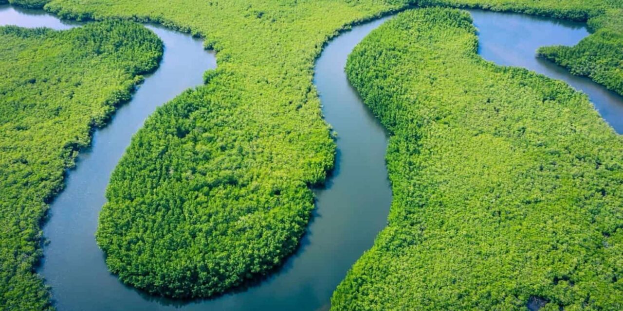 Rios na Amazônia têm risco muito alto de contaminação por mercúrio