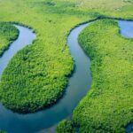 MPF quer suspender leilão de 47 blocos de petróleo na foz do Amazonas