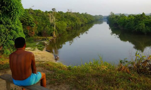 Terras indígenas da Amazônia influenciam chuvas que abastecem o agro