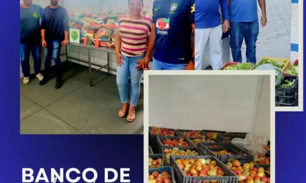 Formiga: BMA inicia 2025 com número expressivo de doações