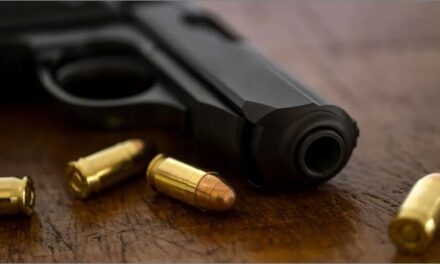 Autorização para porte de armas de uso pessoal caiu 30% em 2024, diz PF