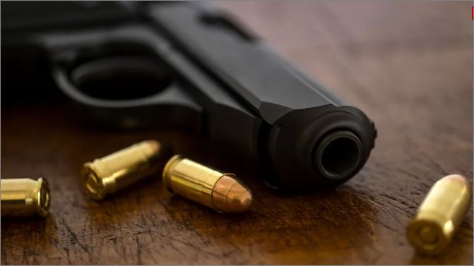 Autorização para porte de armas de uso pessoal caiu 30% em 2024, diz PF