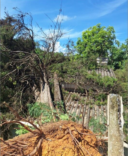 Tempestade provoca queda de árvores e danifica residência em Arcos