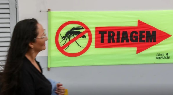 Entenda o que são sorotipos da dengue e por que o tipo 3 preocupa