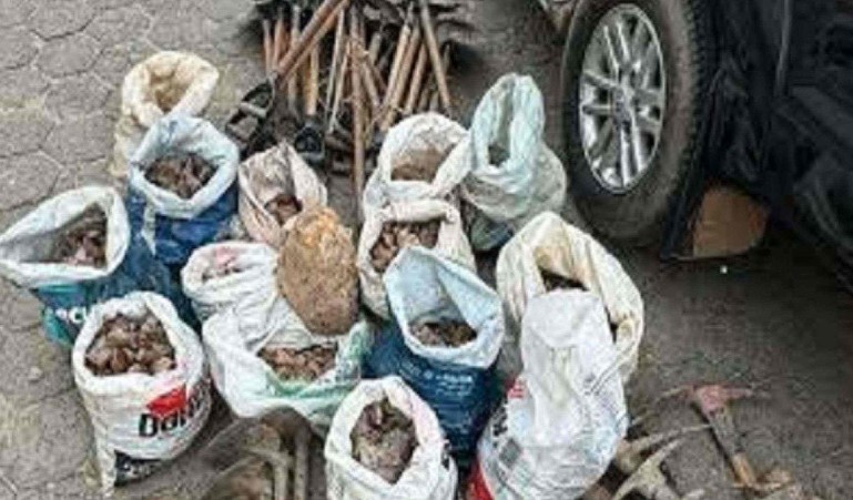 Polícia fecha garimpo ilegal e prende 20 pessoas