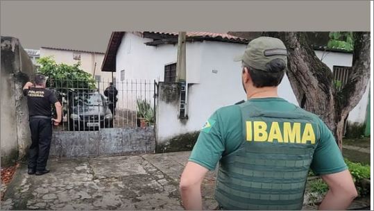 Operação da PF e Ibama apreende 33 animais em posse de traficantes