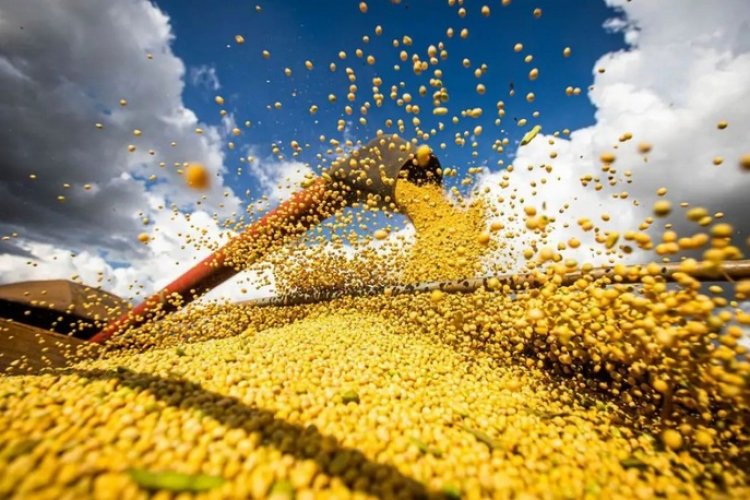 Uberlândia alcança bilhões em exportações  