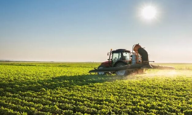 Agro supera mineração e lidera exportações do estado  
